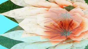 Abstract Water Lilly Flower photo