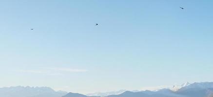 birds flying above mountain range with copy space photo