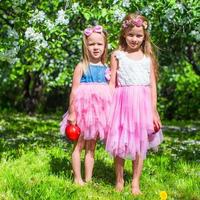 Adorable little girls have fun in blossoming apple tree garden at may photo