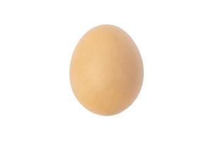 Natural light brown egg on white background. Clipping Paths. photo
