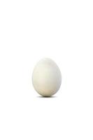 huevo blanco natural sobre fondo blanco. trazados de recorte. foto