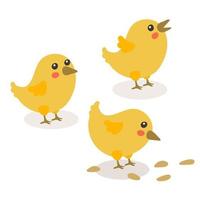 conjunto de pollo de dibujos animados ute. pollos amarillos divertidos en diferentes poses, ilustración vectorial simple. pollos para pascua. pollo a las semillas, mira hacia arriba, grita. aislado vector