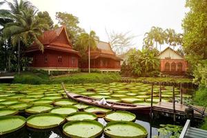 Asian Girl is lying down on the new vintage wood boat on the Lily Lotus Leaf pond at outdoor field. photo