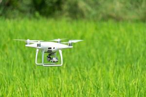 drone está volando en el campo de arroz de arroz verde. foto