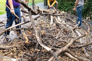 el trabajador asiático hacha los troncos, el árbol muerto en pedazos pequeños para el próximo proceso.