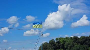 il bandiera di Ucraina è giallo blu su il albero nel un' campo sotto il chiaro cielo di nuvole. video