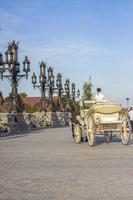 The rider drives a white carriage through the territory of the tourist complex. Elements of Gothic photo