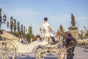 el jinete conduce un carruaje blanco por el territorio del complejo turístico. elementos del gotico foto