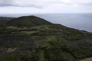 Pico Island Azores vineyard wine grapes protected by lava stone aerial view photo