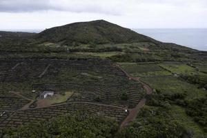 Pico Island Azores vineyard wine grapes protected by lava stone aerial view photo