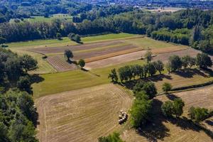 mature wheat farmed fields aerial drone panorama photo