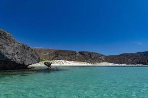 Balandra beach famous suspended mushroom rock Baja california Mexico photo