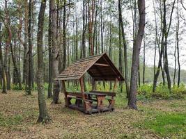 wooden gazebo picnic in the pine forest photo