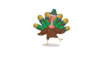 Funny dancing turkey. Thanksgiving day animation. Chroma key background included. video