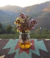 flower in glass vase with background of mountains photo