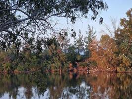 Beautiful lake and surrounding trees with resting birds at Athalassa National Park, Cyprus. photo