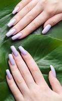 Soft violet female manicure with monstera leaf. photo