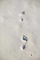 Human footprints on white sand of the Caribbean island photo