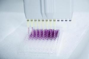 cell culture at the medicine, medical and cell culture laboratory photo