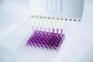 cell culture at the medicine, medical and cell culture laboratory photo