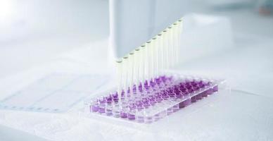 cell culture at the medicine, medical and cell culture laboratory photo