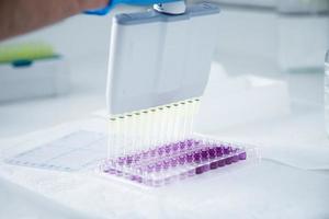 cell culture at the medicine, medical and cell culture laboratory photo