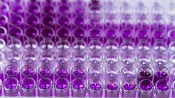 cultivo celular en el laboratorio de medicina, medicina y cultivo celular foto