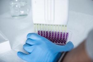 cell culture at the medicine, medical and cell culture laboratory photo