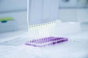 cell culture at the medicine, medical and cell culture laboratory photo