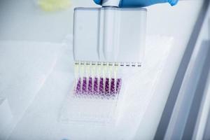 cell culture at the medicine, medical and cell culture laboratory photo