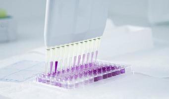 cell culture at the medicine, medical and cell culture laboratory photo