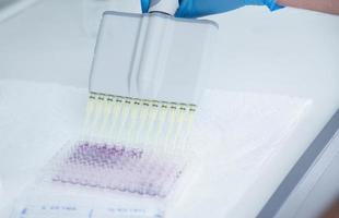 cell culture at the medicine, medical and cell culture laboratory photo