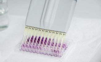 cell culture at the medicine, medical and cell culture laboratory photo