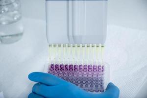 cell culture at the medicine, medical and cell culture laboratory photo