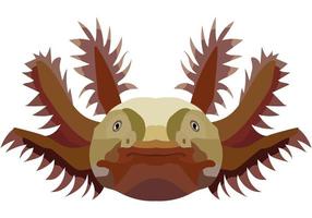 Realistic axelot face. The portrait of a salamander is depicted on a white background. Vector graphics.