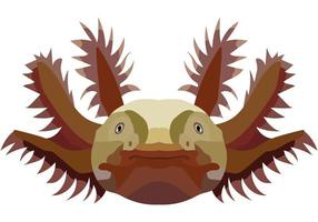 Realistic axelot face. The portrait of a salamander is depicted on a white background. Vector graphics.