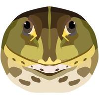 Realistic face of an ordinary frog. Toad portrait isolated on white background. Vector graphics.