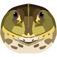 Realistic face of an ordinary frog. Toad portrait isolated on white background. Vector graphics.