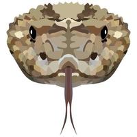 Head of a rattlesnake. The portrait of a poisonous snake is depicted on a white background. Vector graphics.
