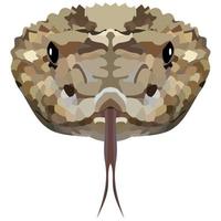 Head of a rattlesnake. The portrait of a poisonous snake is depicted on a white background. Vector graphics.