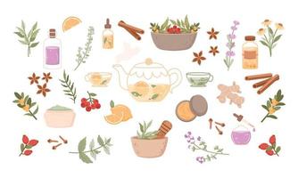 Herbal medicine illustration set. Flat icon with flower spa cartoon for medical design vector