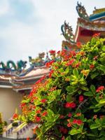 Red flower of Christ Thorn , Auspicious plant in Chinese religious venues photo