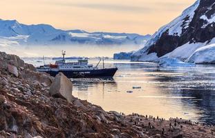 Antarctic cruise ship among icebergs and Gentoo penguins gathered on the rocky shore of Neco bay, Antarctica