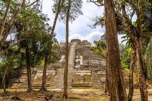 Central ancient pyramid of old Mayan civilization city,  Lamanai archeological site, Orange Walk District, Belize photo