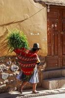 cholita mujer peruana vestida con telas tradicionales de colores, llevando la cosecha fresca de coca y caminando por la calle con paredes de piedra, valle sagrado inkan, ollantaytambo, perú foto