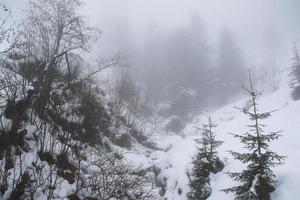 winter landscape in Austrian Alps photo