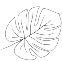 hoja de monstera, vector