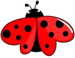 Ladybug with wings in the shape of heart vector