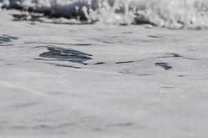 sea foam. splash water photo