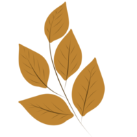 Dry leaves in autumn png